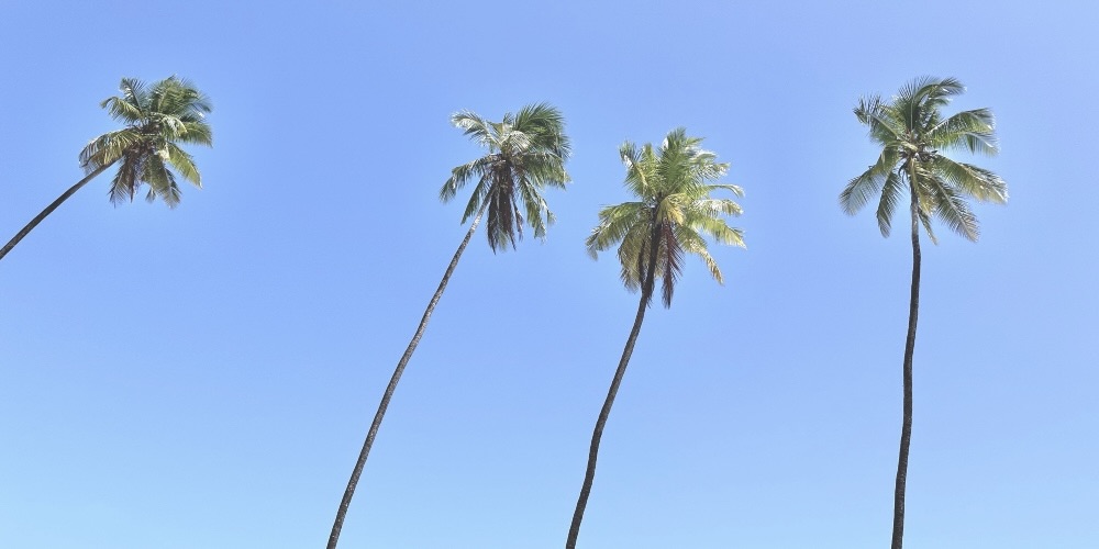 Výlet na Zanzibar bol zábavným najmä vďaka skvelej spoločnosti